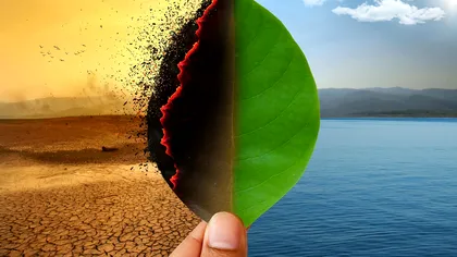 Carpe diem: schimbările climatice ne vor aduce sfârșitul, dar nu exact acum. Ce spune un cercetător japonez