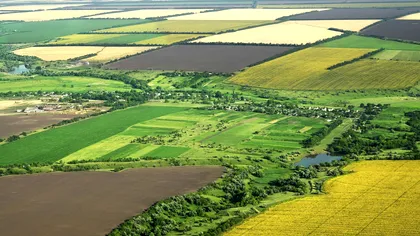 Peste 10.000 de hectare de teren, disponibile pentru achiziție, de la statul român: cum pui mâna pe pământ
