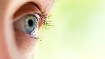 Vederea a fost redată persoanelor nevăzătoare printr-o metodă cel puțin bizară: ce legătură are șoriciul de porc