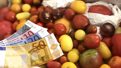 Se dau până 3000 de euro de la stat, prin programul Tomata: ce trebuie să facă românii agricultori, fermierii