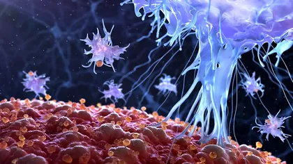 Un virus a fost modificat pentru a distruge celulele cancerigene: cum a funcționat, ce spun cercetătorii