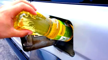 Între mit și realitate: e bine, sau nu, să îți alimentezi mașina cu ulei de gătit?