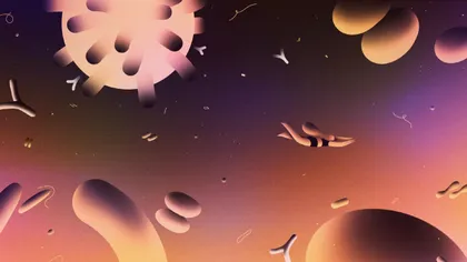 VIDEO Premieră în știință: cercetătorii au surprins un virus care infectează o celulă