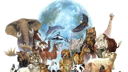 Planeta, așa cum o știm, va înceta să existe: avertismentul unui expert în probleme de mediu ar trebui să ne treazească la viață