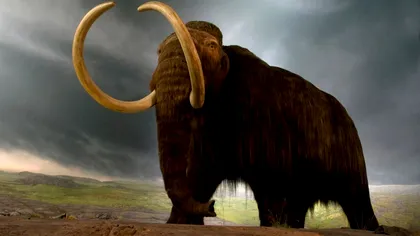 CIA se joacă de-a Jurassic Park și vrea să resusciteze mamutul lânos: cum explică asta