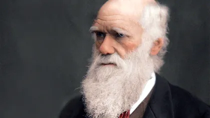 Corespondența completă a lui Charles Darwin este acum disponibilă online: poți citi peste 15.000 de scrisori ale pionierului științei evoluționiste