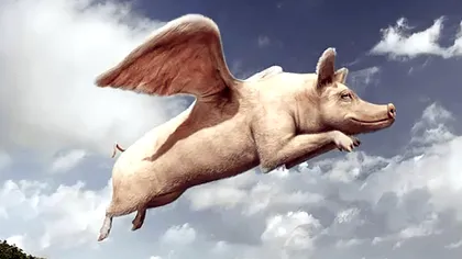 Top 10 mituri ciudate din întreaga lume și din România: tu pe care le crezi?