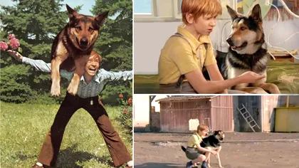 Maiorul Calu nu zâmbea, nu vorbea, dar era de o precizie ieșită din comun: povestea câinelui din Pistruiatul, unul dintre cele mai iubite personaje din filmele românești