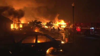 „Pact pentru Sinucidere Colectivă”. Planeta poate deveni un iad: avertismentul ONU