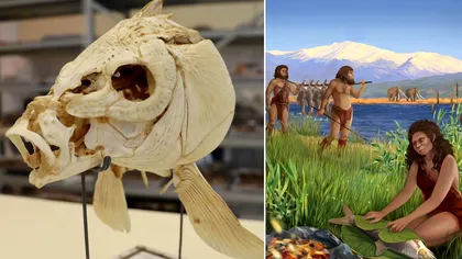 Un crap vechi de 780.000 de ani este cea mai timpurie dovadă că oamenii găteau cu foc