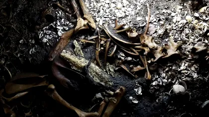 Comoara aztecă care a stat ascunsă mai bine de cinci decenii: ce au găsit arheologii