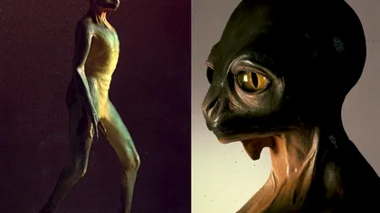 Cum ar arăta astăzi dinozaurii, dacă nu ar fi dispărut niciodată