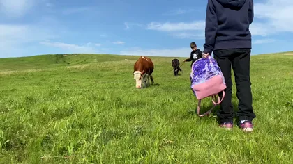 Doar la asta nu ne făcusem de râs în Europa: suntem pe ultimul loc, ne costă scump, iar diferențele sunt fabuloase