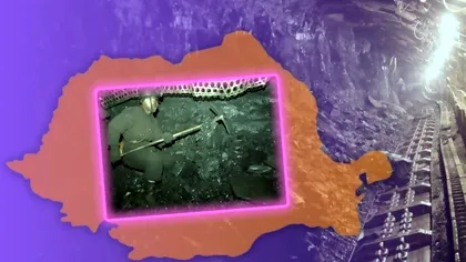 „Aurul negru” din România care se găsea la firul ierbii