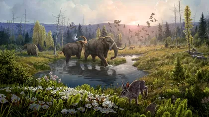 Cel mai vechi ADN din lume are 2 milioane de ani și a fost descoperit în Groenlanda: ce înseamnă asta pentru știință