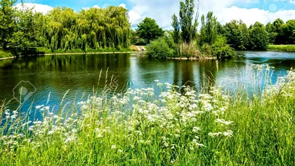 Fenomenul care se întâmplă cu lacurile de mici dimensiuni: de ce este îngrijorător