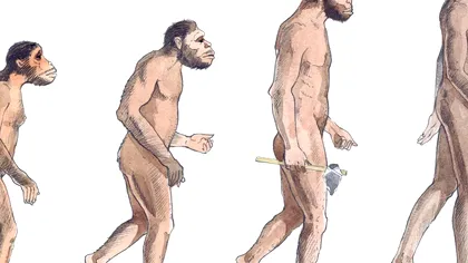 Oamenii încă sunt în evoluție: cercetătorii au descoperit 155 de noi gene