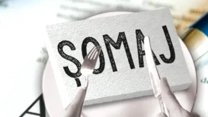 Dacă n-ai job, statul 