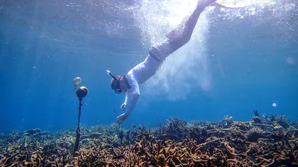 Sunetele ciudate ale oceanului care i-au uimit pe oamenii de știință de-a lungul anilor: ce explicație au