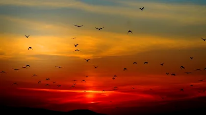 Cerul nu este doar albastru, iar o privire atentă asupra întunericul nopții dezvăluie motivul: ce spun oamenii de știință