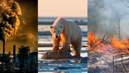 Cum „bâjbâie” știința încălzirea globală: adevăratele consecințe încă nu sunt cunoscute