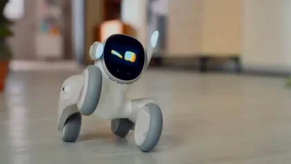 Cel mai adorabil roboțel: ce poate face Loona, cum te ajută prin casă