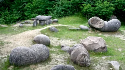 Misterul „pietrelor vii” din România care uluiesc străinii: „O plantație extraterestră”