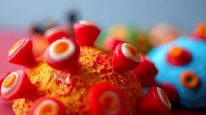 Premieră mondială în știință: a fost descoperit un organism care poate mânca exclusiv virusuri