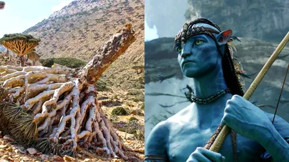 „Cel mai extraterestru loc de pe planetă” este cel mai bizar paradis ecologic. A fost inspirația pentru Avatar 2 VIDEO