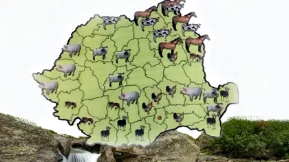 Animalul înfricoșător din România care spulberă tot ce prinde, dacă stai la curte: e criminal pentru fermieri