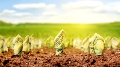 Lovitura dimineții pentru fermierii români: Ministerul Agriculturii îi lasă fără subvenții pe mulți. Ce înseamnă să fii agricultor, de fapt