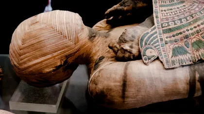 Misterele îmbălsămării la egipteni, dezvăluite în premieră: cum erau ”păstrați” faraonii