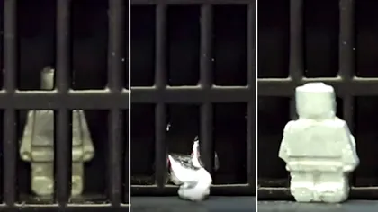 VIDEO Robotul care își schimbă forma a evadat din “închisoare”: ce este “mini Terminator”