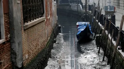 VIDEO Imagini dezolante în Veneția: ce se întâmplă în cel mai frumos oraș italian, ce legătură are cu încălzirea globală