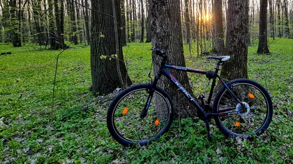 Trebuie să plătești bani la ANAF dacă îți vinzi bicicleta? Ce zice legea