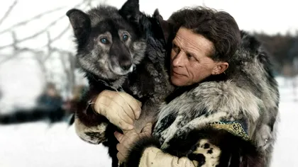 Câinele care a salvat mii de oameni de o epidemie necruțătoare: povestea lui Togo, husky-ul erou din Alaska