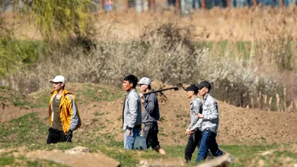 VIDEO Vietnamezii din România, surprinși când vânau popândăi pentru a-i mânca. Poliția a deschis o anchetă