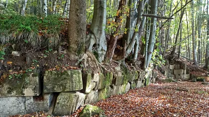 Cetatea “Fețele Albe”, unică în lume: cum a fascinat arheologii o fortificație dacică de pe teritoriul României