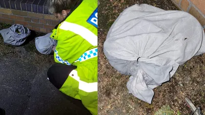 O angajată la salubrizare, descoperire terifiantă. Femeia a sunat imediat la poliție