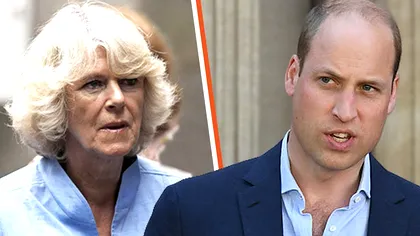 Tensiuni imense în familia regală britanică, înainte de încoronare. Gestul Camillei ce ar înfuria-o pe Prințesa Diana. William, scos din sărite