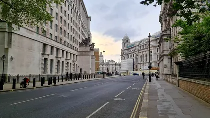 A crescut lângă o comoară, dar fără să știe. Cum a aflat un bărbat că este bogat, abia la 67 de ani