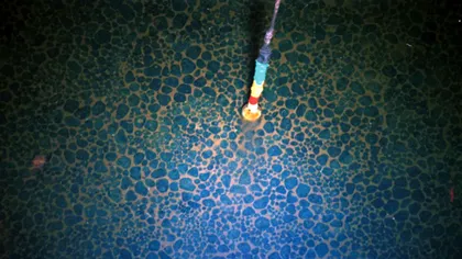 ”Mina de aur” de pe fundul oceanului: „cartofii de apă”, folosiți în producția de baterii pentru mașini electrice