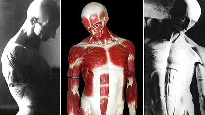 Lucruri incredibile pe care nu le știai despre corpul tău: curiozitățile care te vor uimi