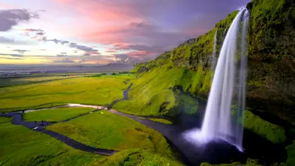 Știința e impresionantă. Au descoperit primul animal care a apărut pe Pământ, ghici ce e