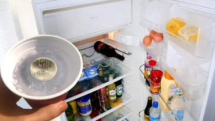 Când pleci în vacanță se spune că e bine să pui o moneda în frigider. Ce se întâmplă de fapt dacă faci asta și de unde a pornit acest viral pe internet