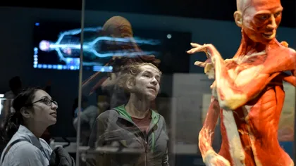 Cele mai ciudate lucruri despre corpul uman. Pe unele propabil le știai, iar altele te vor surprinde total