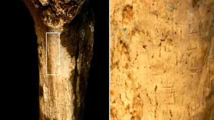 Descoperirea care arată că strămoșii noștri erau canibali. Ce spun oamenii de știință