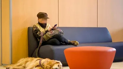 Povestea ciudată a unei românce care a stat 17 zile într-un aeroport. Femeia avea valize și un câine cu ea