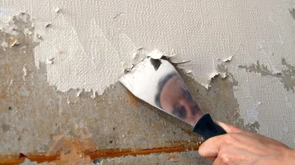 Surpriză uriașă pentru o femeie, după ce s-a apucat de renovarea casei pe care și-a cumpărat-o. Ce mesaj a găsit sub tapetul vechi 