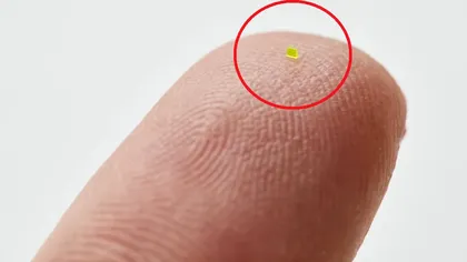 Cum arată cea mai mică geantă din lume. S-a vândut pentru peste 63.000 de dolari. Foto